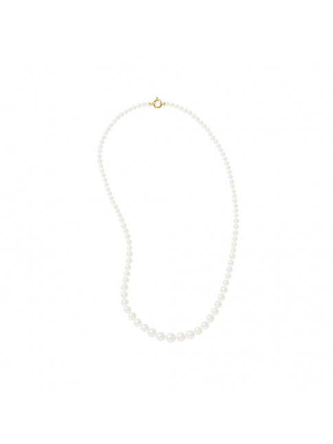 Collier Ethel - Or Jaune