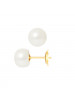 Boucles d'Oreilles Celestina White - Or Jaune